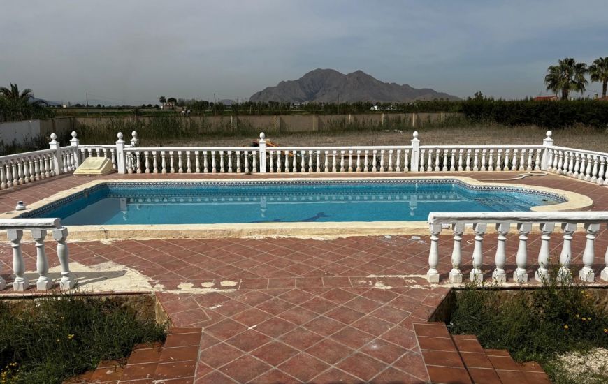 Sale - Finca - Callosa de Segura