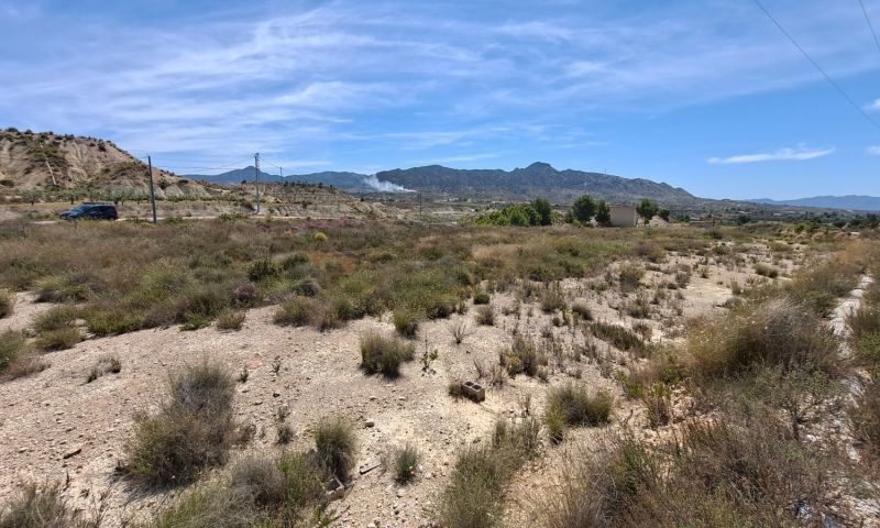 Sale - Land - Abanilla
