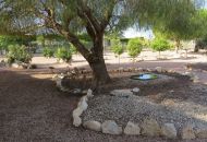 Sale - Finca - Daya Vieja