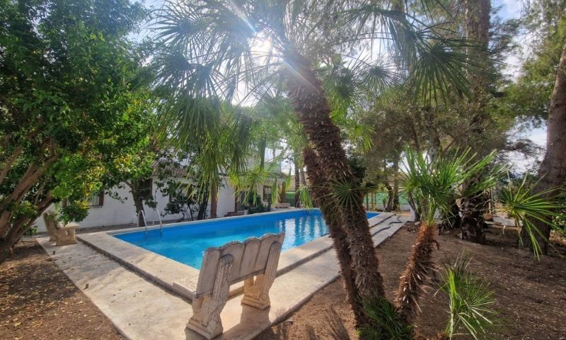 Venta - Casa Rural - Orihuela