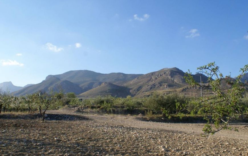 Sale - Land - Murcia