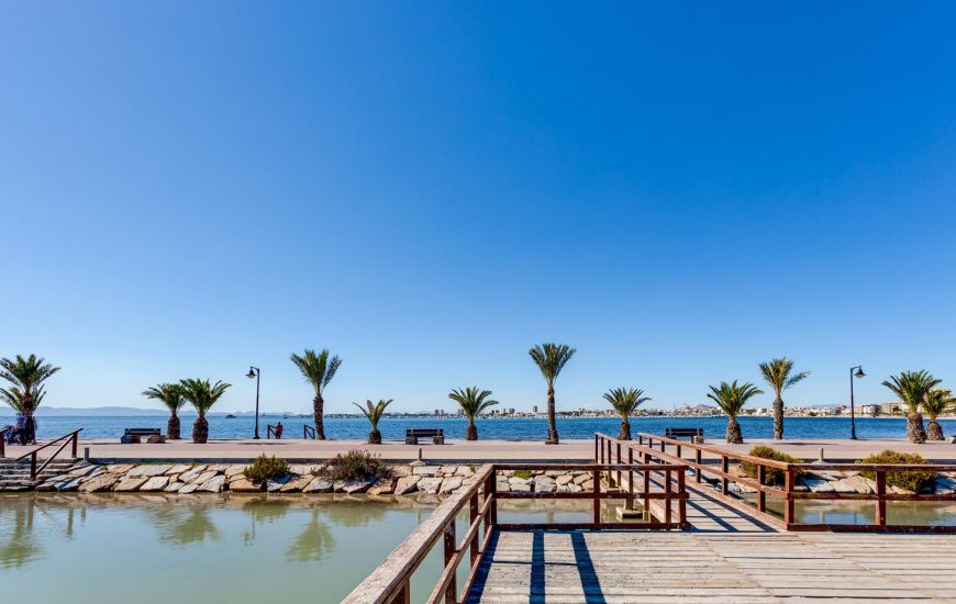 Nueva construcción  - Villa - Pilar de la Horadada