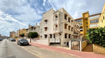 Apartamentos - Venta - La Mata - La Mata
