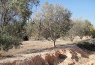 Sale - Country Property - Crevillente