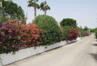 Venta - Casa Rural - Dolores