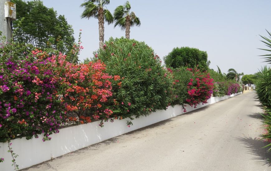 Venta - Casa Rural - Dolores