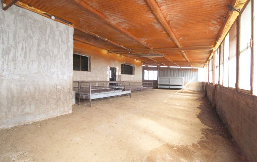 Venta - Casa Rural - Aspe pedanias