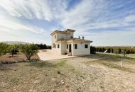 Sale - Finca - Pinoso