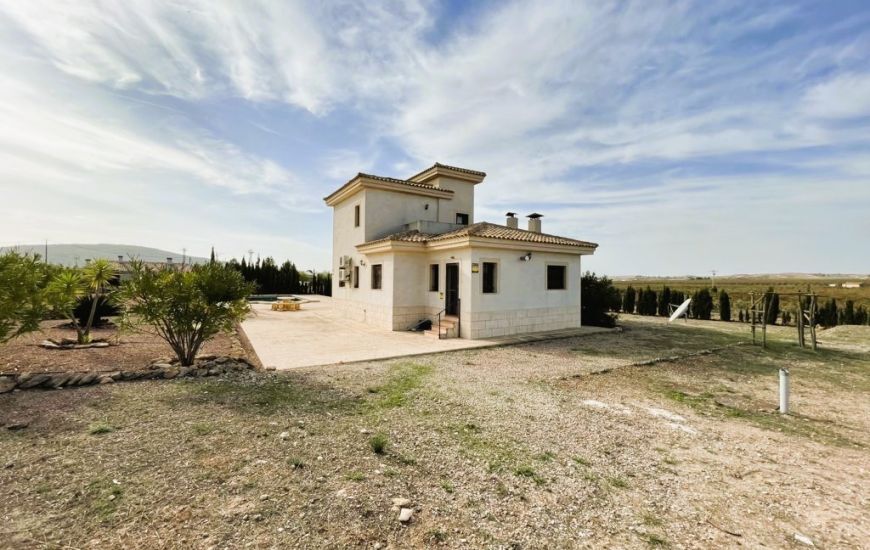 Sale - Finca - Pinoso