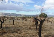 Venta - Terreno - Biar