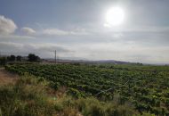 Venta - Terreno - Novelda