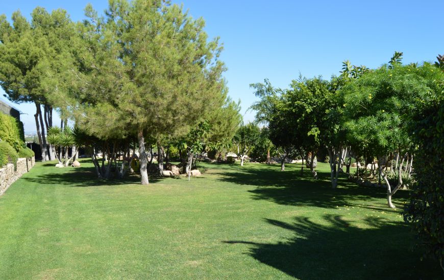 Sale - Country Property - Algorfa