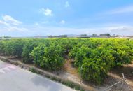 Sale - Apartments - Benejúzar - Benejuzar