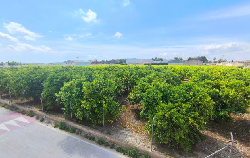 Sale - Apartments - Benejúzar - Benejuzar