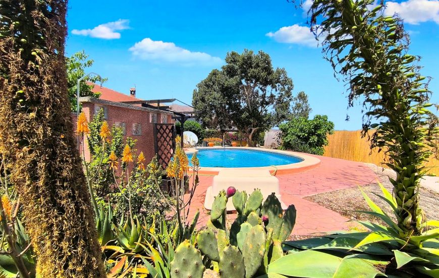 Sale - Finca - Orihuela