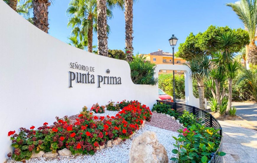 Venta - Apartamentos - Punta Prima