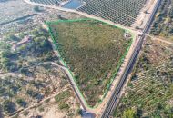 Sale - Land - Crevillente - Crevillent