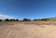 Sale - Finca - Salinas