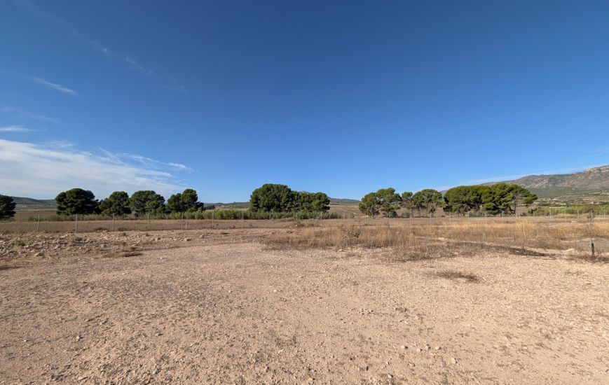 Sale - Finca - Salinas