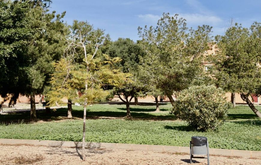 Sale - Apartments - Torrevieja