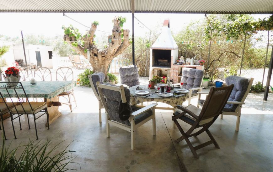 Sale - Finca - Dolores