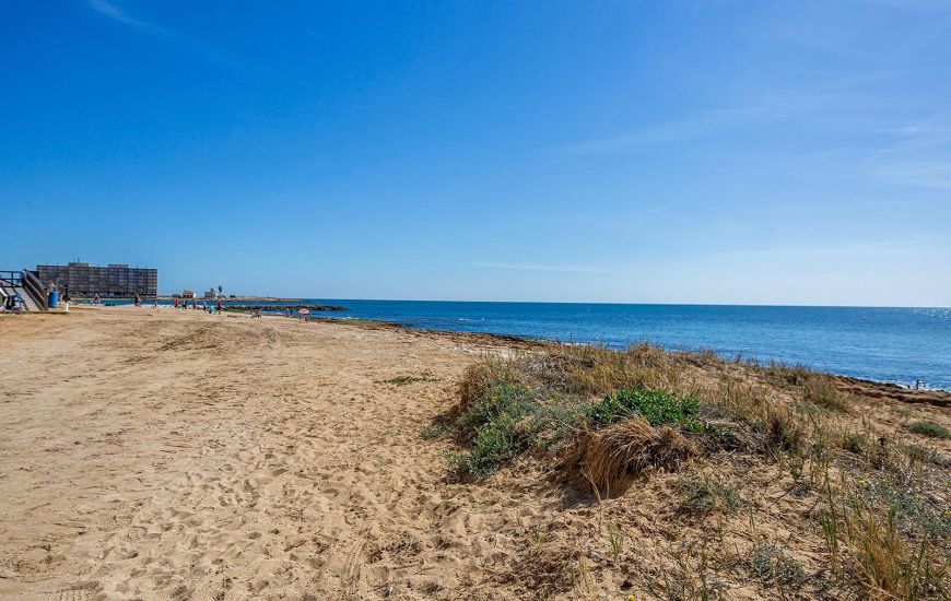 Sale - Apartments - Torrevieja