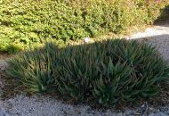 Sale - Country Property - Orihuela