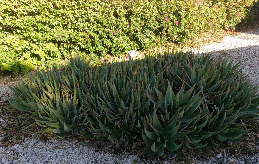 Sale - Country Property - Orihuela