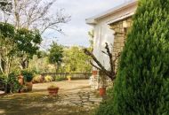 Sale - Apartments - 