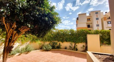 Apartamentos - Venta - Orihuela Costa - Orihuela Costa