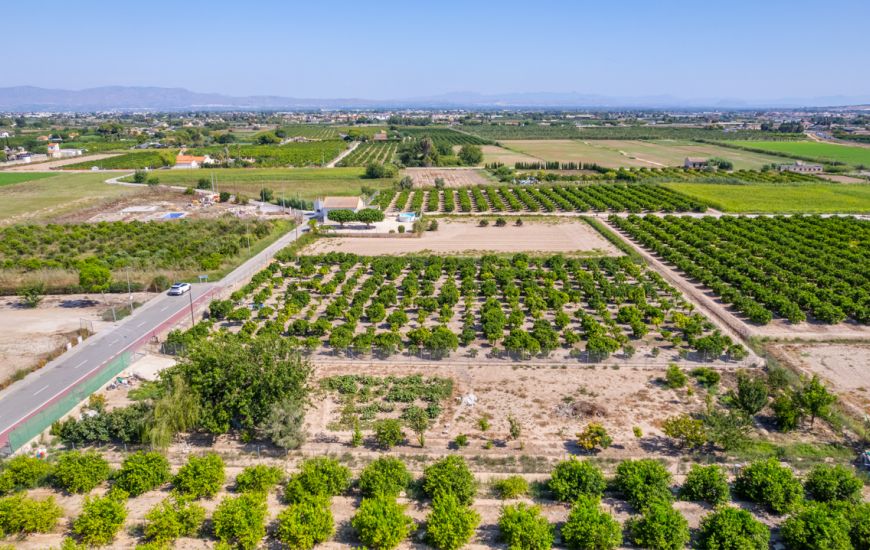 Sale - Land - Formentera Del Segura - Formentera de Segura