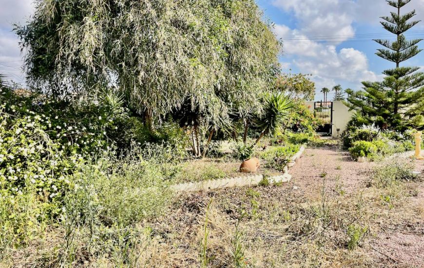 Venta - Villa - Daya Vieja