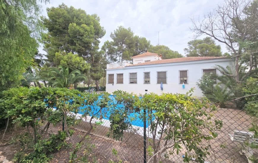 Sale - Villa - 