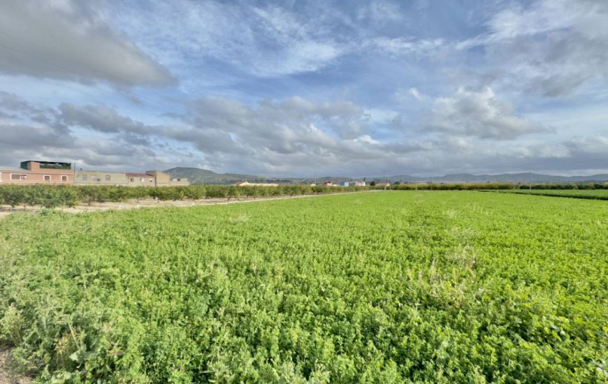 Sale - Country Property - Orihuela