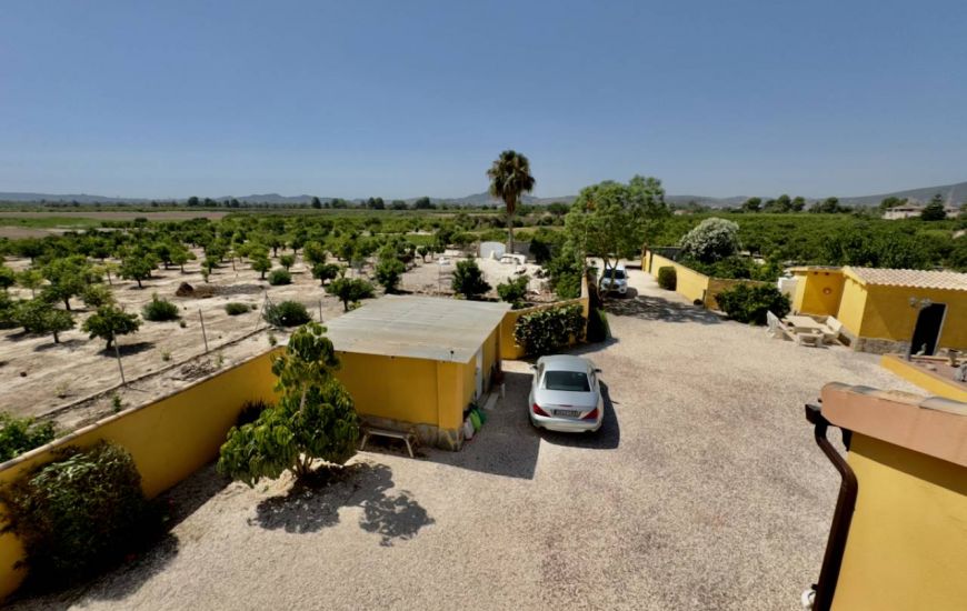 Sale - Finca - Orihuela