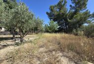 Venta - Casa Rural - Monovar