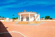 Sale - Finca - Catral