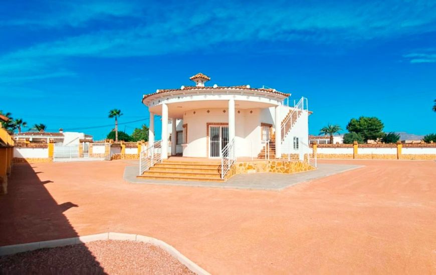 Sale - Finca - Catral