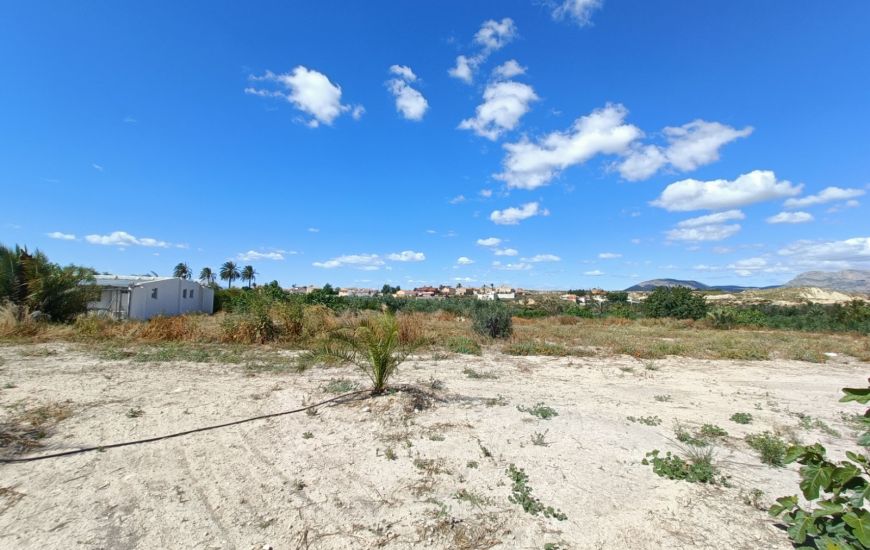 Sale - Finca - Abanilla