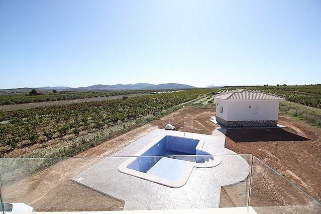 New Build - Villa - Pinoso
