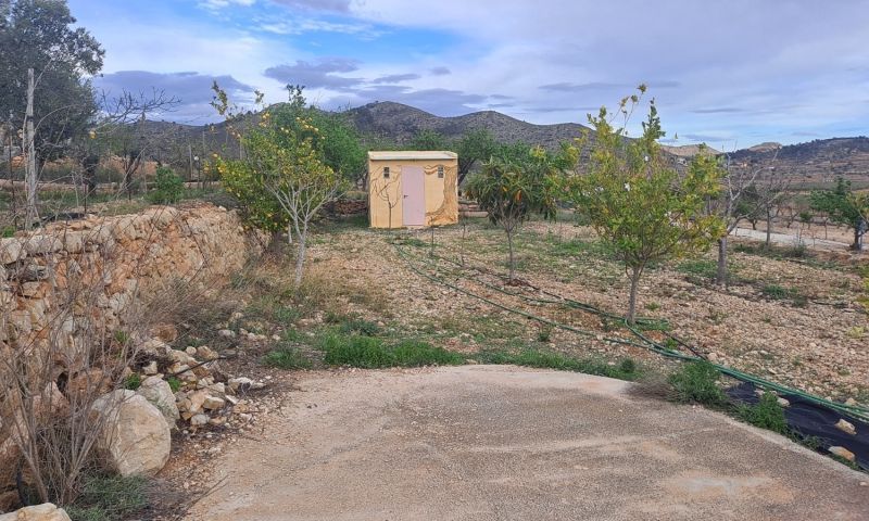 Sale - Country Property - Hondón de las Nieves