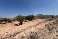 Sale - Land - Hondon de los Frailes