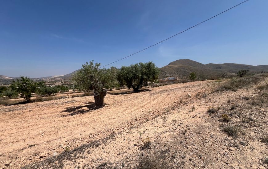 Sale - Land - Hondon de los Frailes