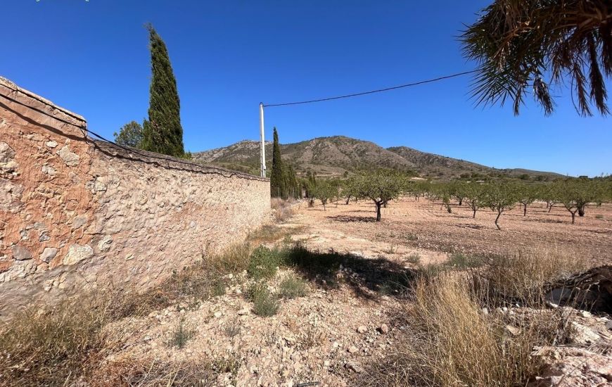 Sale - Finca - Hondon de los Frailes