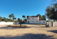 Sale - Finca - Catral