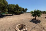 Sale - Finca - Torrellano