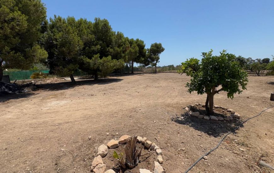 Sale - Finca - Torrellano