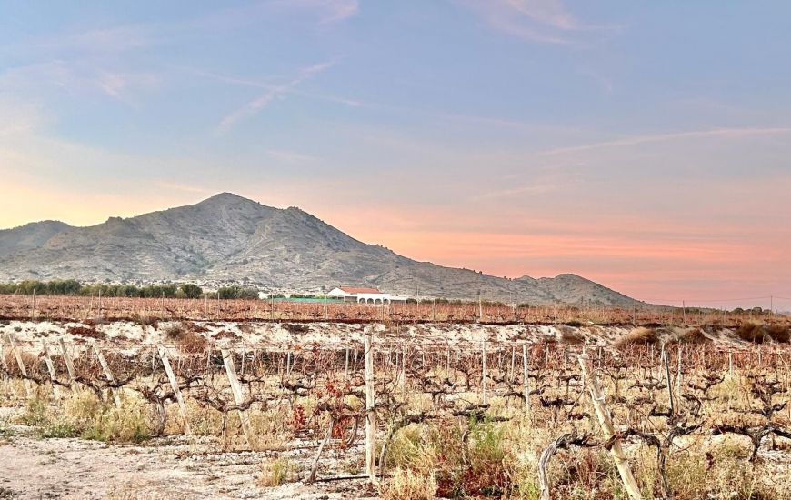 Sale - Land - Novelda