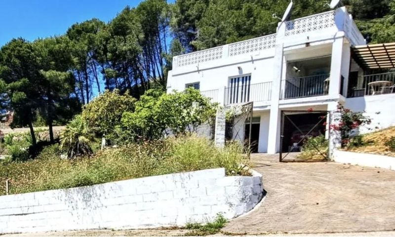 Sale - Apartments - 