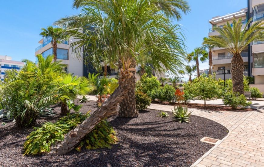 Venta - Apartamentos - Orihuela Costa